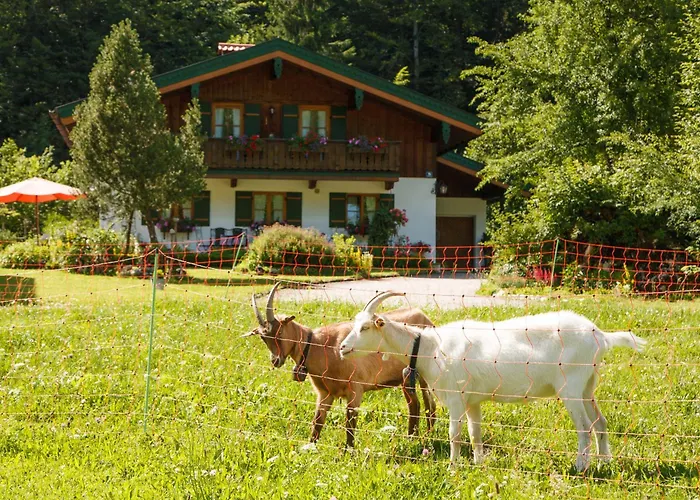 Hinterreiter Inkl. Chiemgaukarte Apartamento Ruhpolding
